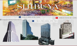 Enhanced Cleaning Protocols under the new normal (SHIBUYA TOKTU Hotels)