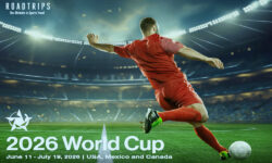 2026 World Cup  (Follow Your Team)