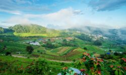 Chiang Mai – 4 Days 3 Nights Package (Royal Scenic)