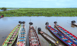 ThaiMazing Southern Soul Escape 8  Days 7 Nights (Royal Scenic)